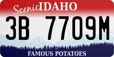 ID license plate 3B7709M