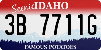ID license plate 3B7711G