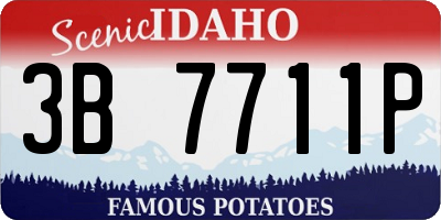 ID license plate 3B7711P