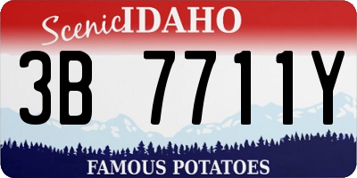ID license plate 3B7711Y
