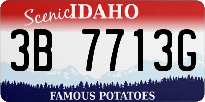 ID license plate 3B7713G