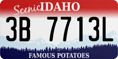 ID license plate 3B7713L