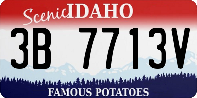 ID license plate 3B7713V