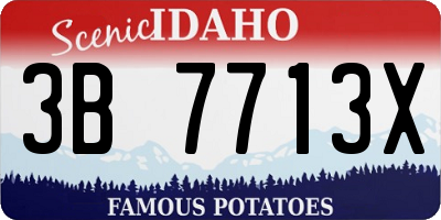 ID license plate 3B7713X