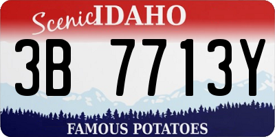 ID license plate 3B7713Y