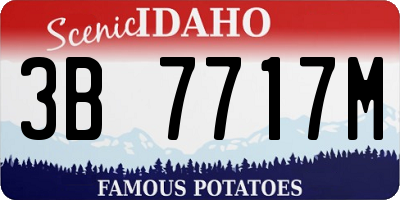 ID license plate 3B7717M