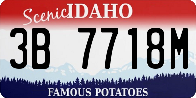ID license plate 3B7718M