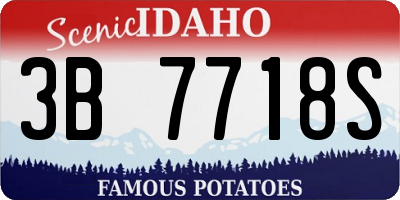 ID license plate 3B7718S