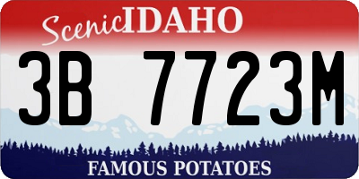 ID license plate 3B7723M