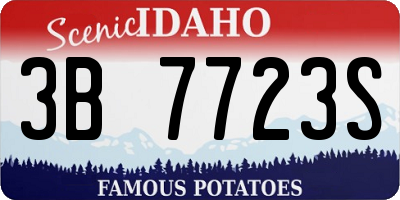 ID license plate 3B7723S