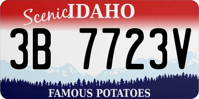 ID license plate 3B7723V