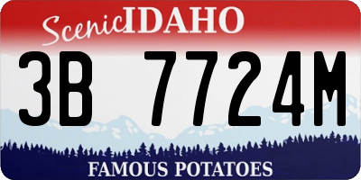 ID license plate 3B7724M