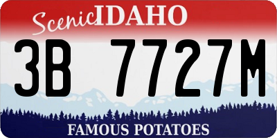 ID license plate 3B7727M