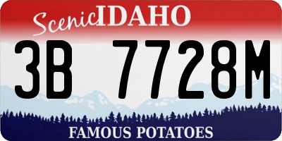 ID license plate 3B7728M