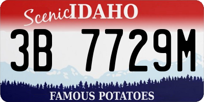 ID license plate 3B7729M