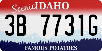 ID license plate 3B7731G