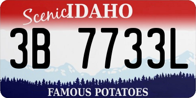 ID license plate 3B7733L