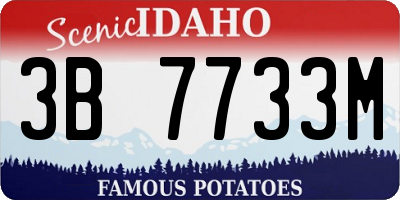 ID license plate 3B7733M