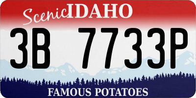 ID license plate 3B7733P