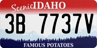 ID license plate 3B7737V