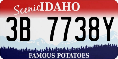 ID license plate 3B7738Y