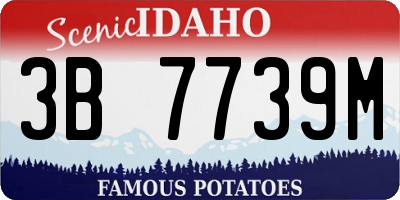ID license plate 3B7739M