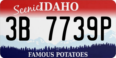 ID license plate 3B7739P