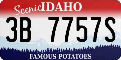 ID license plate 3B7757S