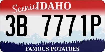 ID license plate 3B7771P