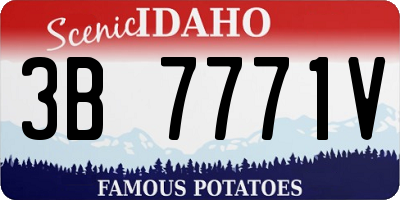 ID license plate 3B7771V