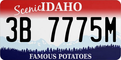 ID license plate 3B7775M
