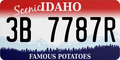 ID license plate 3B7787R
