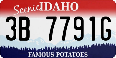 ID license plate 3B7791G