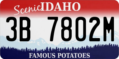 ID license plate 3B7802M