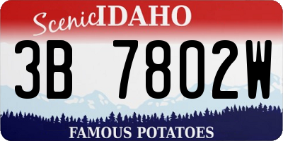 ID license plate 3B7802W