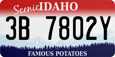 ID license plate 3B7802Y