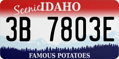 ID license plate 3B7803E