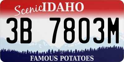ID license plate 3B7803M