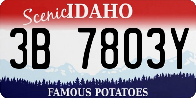 ID license plate 3B7803Y