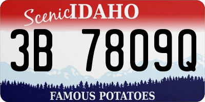 ID license plate 3B7809Q