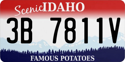ID license plate 3B7811V