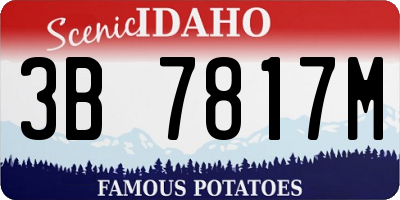 ID license plate 3B7817M
