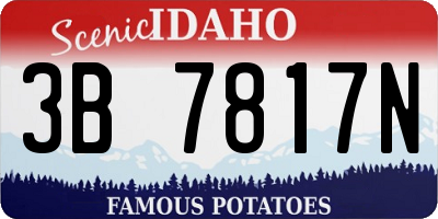 ID license plate 3B7817N