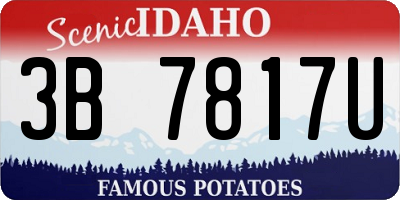 ID license plate 3B7817U