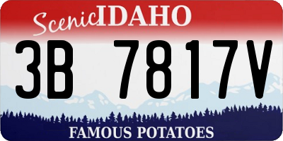 ID license plate 3B7817V