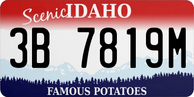 ID license plate 3B7819M