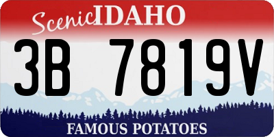 ID license plate 3B7819V