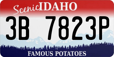 ID license plate 3B7823P