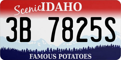 ID license plate 3B7825S