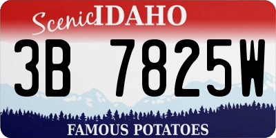 ID license plate 3B7825W